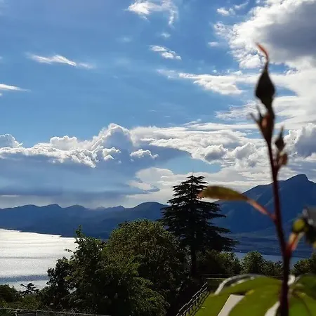 Hotel Bellavista San Zeno di Montagna