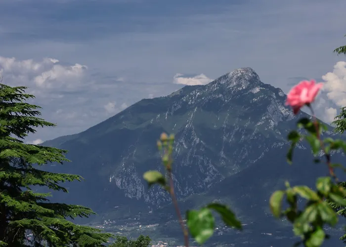 Bellavista 3* San Zeno di Montagna